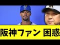 阪神ファン　困惑ブチギレ