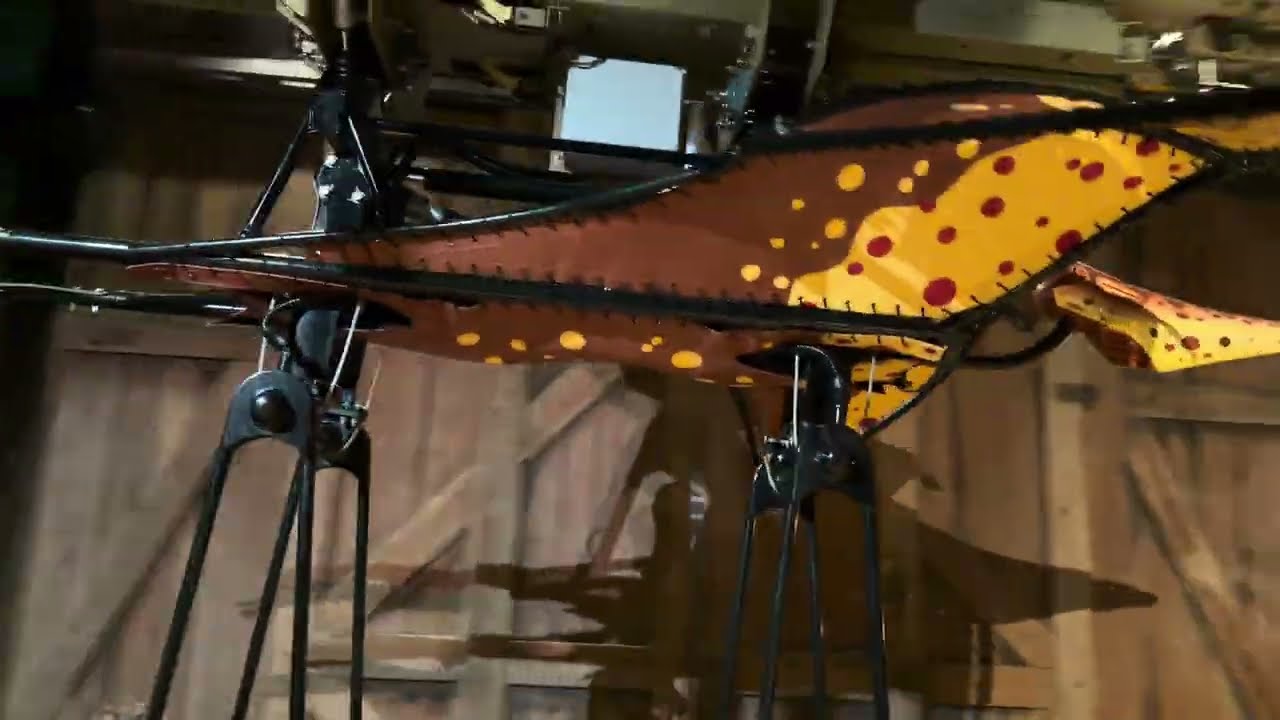 Pteranodon Flyers - Loading Platform - Islands of Adventure, Universal Orlando 11-09-2025