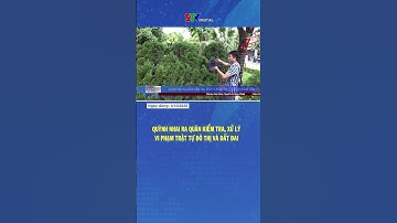 Quỳnh Nhai ra quân kiểm tra, xử lý vi phạm trật tự đô thị và đất đai