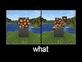 Minecraft wait what meme part 133 (realistic destruction)