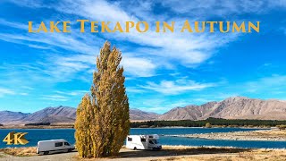 Lake Tekapo Village in Autumn 4K April 2021 | New Zealand Walking Tour 4K | New Zealand Virtual Tour