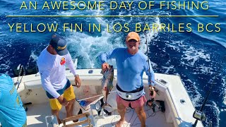 An awesome day of fishing yellow fin tuna in Los Barriles BCS Ep 8 Going Walkabout