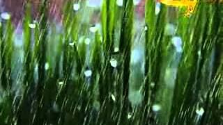 Secret Garden -  Sometimes When It Rains