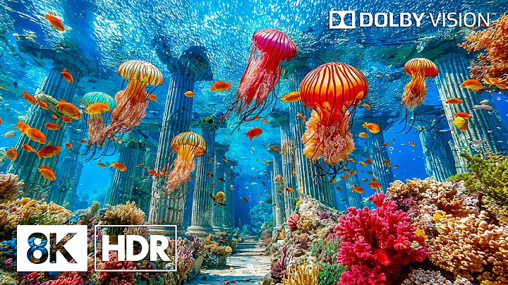 Cinematic Ocean Creatures Experience in 8K HDR | Dolby Vision™