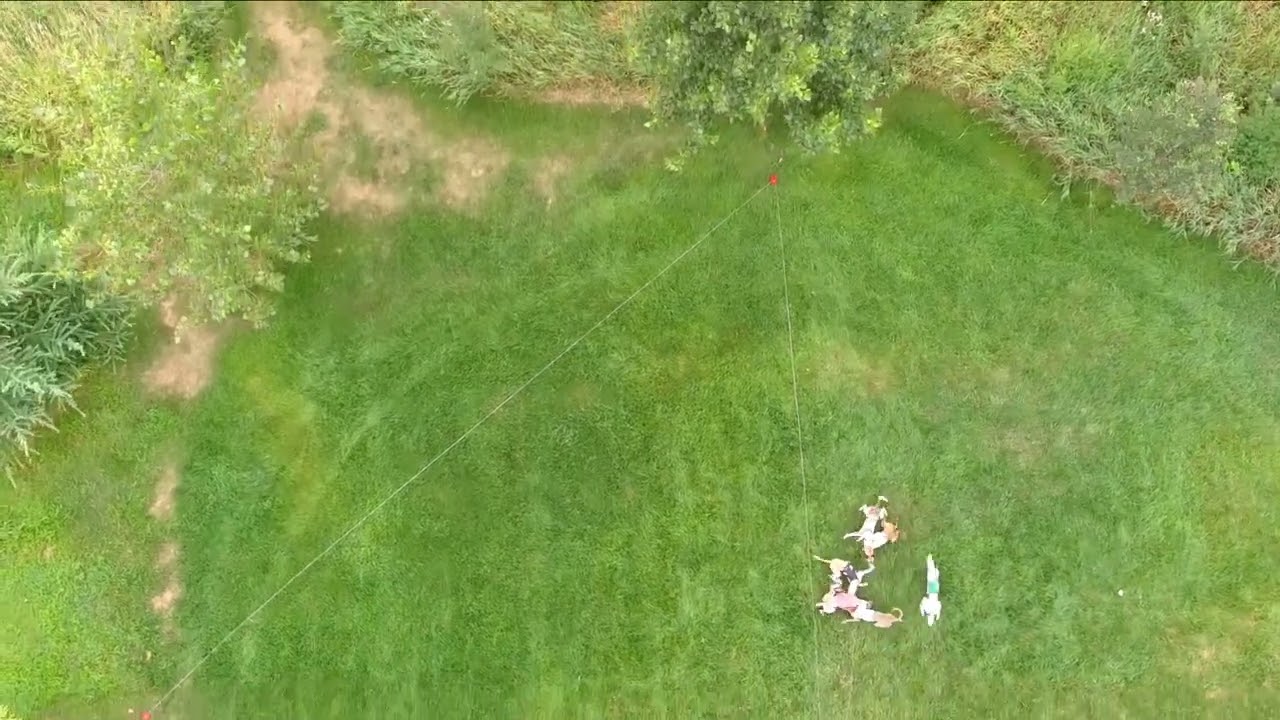 Whippet Racing CWA at North Star Racing 08/ 06/ 2023