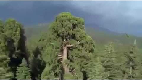 ((وقل ربي أعوذ بك من همزات الشياطين)) تلاوة طيبة بصوت ( ادريس ابكر )