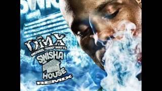 DMX - I Can Feel It (Swishahouse Remix)