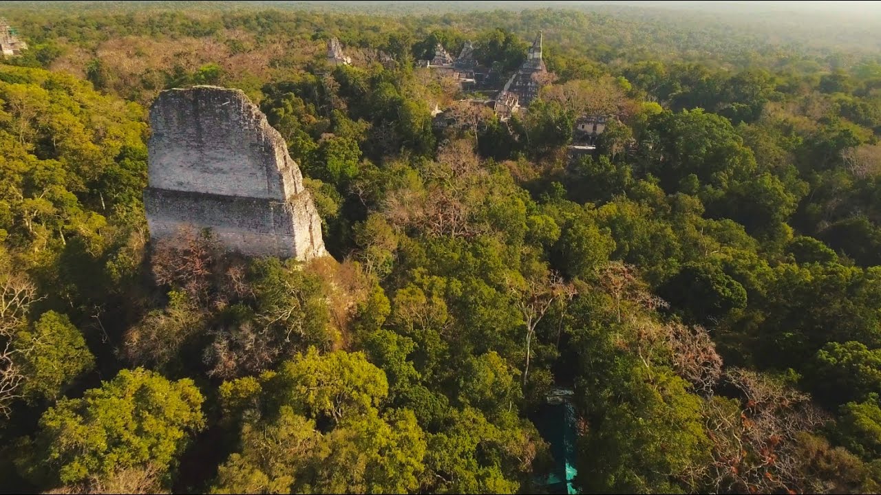 The Selva Maya A Forest And Its People Short Version Youtube