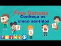 (Portuguese) Saiba mais sobre Cinco sentidos | Ciência para crianças | ThinkJr