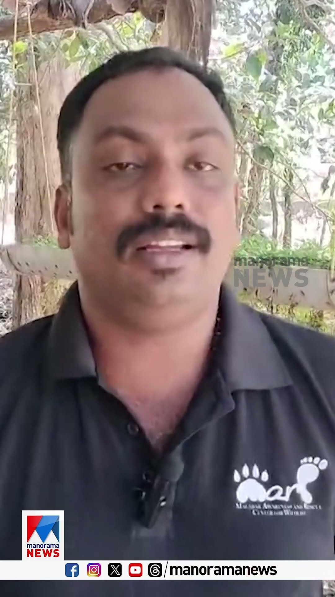 കിട്ടിയത് നൂറോളം പാമ്പിന്‍ മുട്ടകള്‍; വിരിഞ്ഞിറങ്ങിയത് 32 നീര്‍ക്കോലികള്‍ #Watersnake