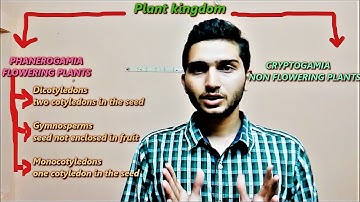 Bentham and Hooker Classification