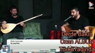 Derde Bakın                 Ozan ALGUN           TürküTadında Özcan TÜRE Resimi