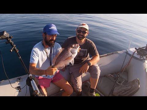 ΨΑΡΕΜΑ ΚΑΙ ΜΕΤΑΔΟΣΗ