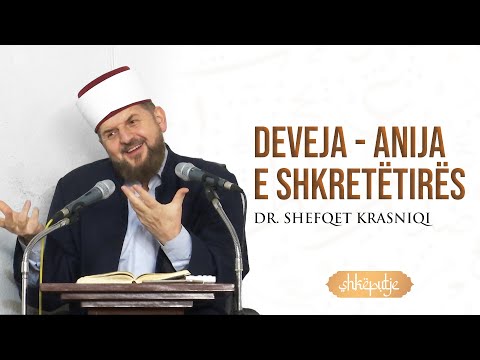 Video: Deveja Baktriane - anija e shkretëtirës