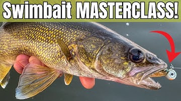 How To Fish SWIMBAITS For Walleye Like A PRO! (3 Easy Steps!)