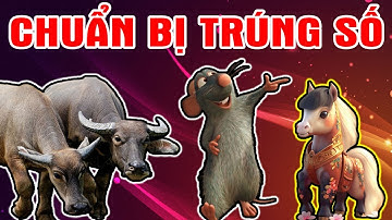 🔴 Từ Nay Đến Rằm Tháng 6 Âm, 3 Con Giáp Trúng Đậm Càng Làm Càng Giàu, Tiền Về Tới Tấp