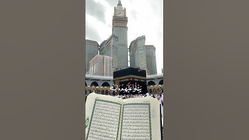 سورة آل عمران {الآية 164} بصوت الشيخ مشاري العفاسي بن راشد ❤️💖