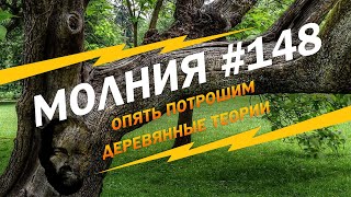 МОЛНИЯ #148: Опять потрошим деревянные теории