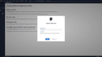 Hello World in Python in the Codio IDE