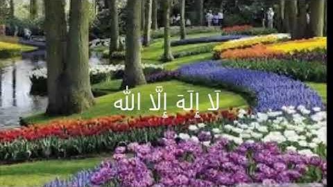 من روائع الشيخ محمد صديق المنشاوي رحمه الله خواتيم سورة الحشر