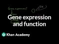 Gene Expression and Reverse Genetics in Action