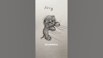 How to draw a Cat (hard vs easy) ✏️ #drawing #art #tutorial #howtodraw #shorts #cat