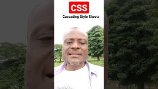 How CSS Makes Websites Beautiful #css #webdesign