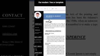 Our modern CV template #cvformatforjob #excel #cv
