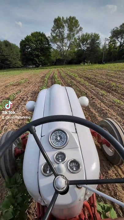 we-did-it-we-started-a-farm-with-no-experience-and-old-1950s-equipment