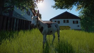 Planet Zoo (PC)(English) #171 6 Minutes of American standard donkey (Barnyard Animal Pack DLC)