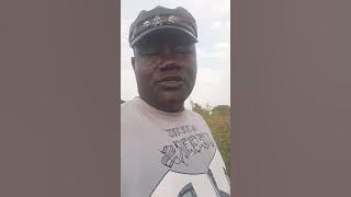 This Flower Plant Is Magically Wonderful, 233243489751,