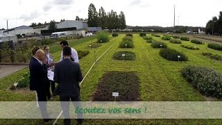 Darégal Chez La Serre