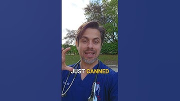 3 Key Remedies for Constipated Cats & Dogs