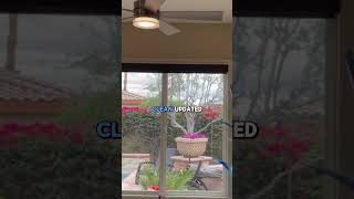 Make Your Space Cooler With The Modern Forms Wynd Smart Outdoor Ceiling Fan