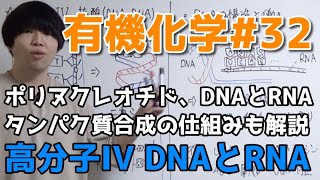 【高校化学】高分子III核酸「DNAとRNAの構造と働き」【有機化学#32】