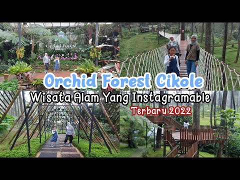 ORCHID FOREST CIKOLE 2022 || Wisata Alam Ditengah Hutan Pinus Yang Instragramable Di Lembang