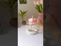 cozy study vlog #study #inspiration #studywithme #aesthetic #motivation #studymotivation #studymusic
