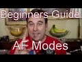 A Beginners Guide To Auto Focus (AF) Modes On Your Canon dSLR: One Shot, AI Focus & AI Servo