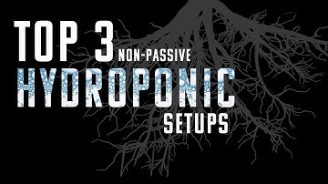 TOP 3 HYDROPONIC GROW SETUPS: What You Need to Know