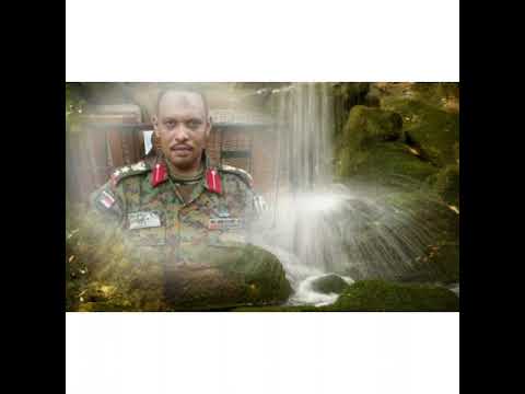 جمال الشهيد