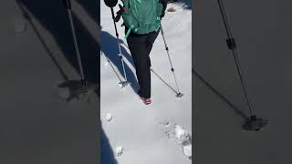 Satisfying crunching through the snow sound.