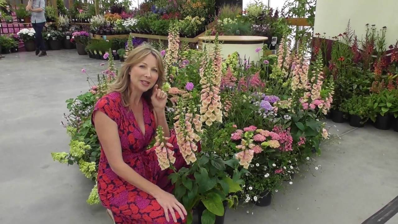 Kate Durr talks foxgloves YouTube