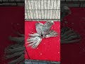 Самка за $2,000! Двухчубые голуби. Tauben. Pigeons. Palomas. Pombos. 비둘기. کبوترها. الحمائم.