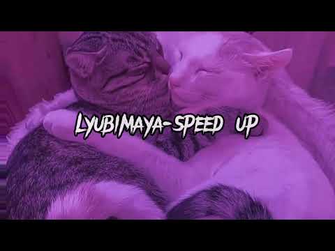 Lyubimaya-speed up