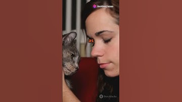 Decode Your Cat