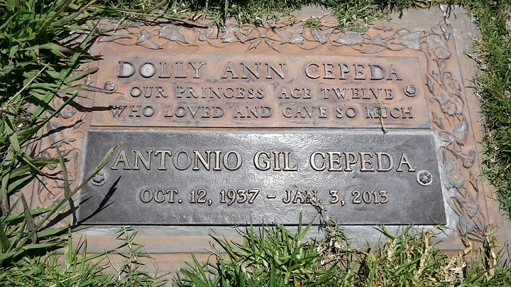 Hillside Stranger Murder Victim Dolores Ann Dolly ...