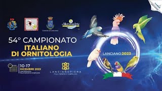 Canary Team - 54° Campionato Italiano di Ornitologia - Lanciano 2023