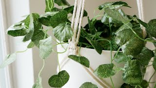 The Easiest Macrame Plant Hanger You Can Make | Tutorial for Complete Beginners