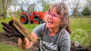 How Much Asparagus Can ONE Family Eat?