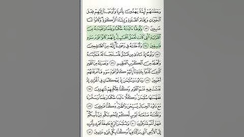 سورة الأنبياء - من الآية 51 حتى الآية 82